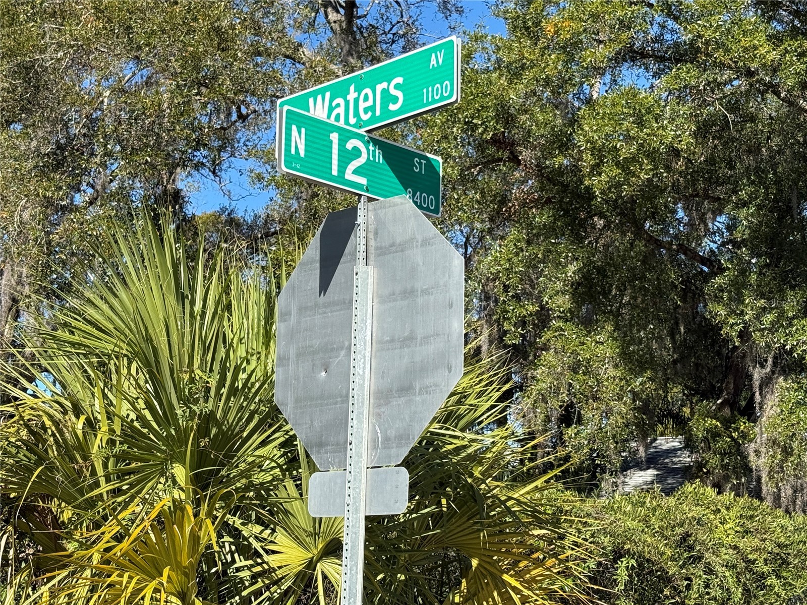 Corner Of E Waters Ave And N 12th Street Tampa FL 33606 TB8465821 image3