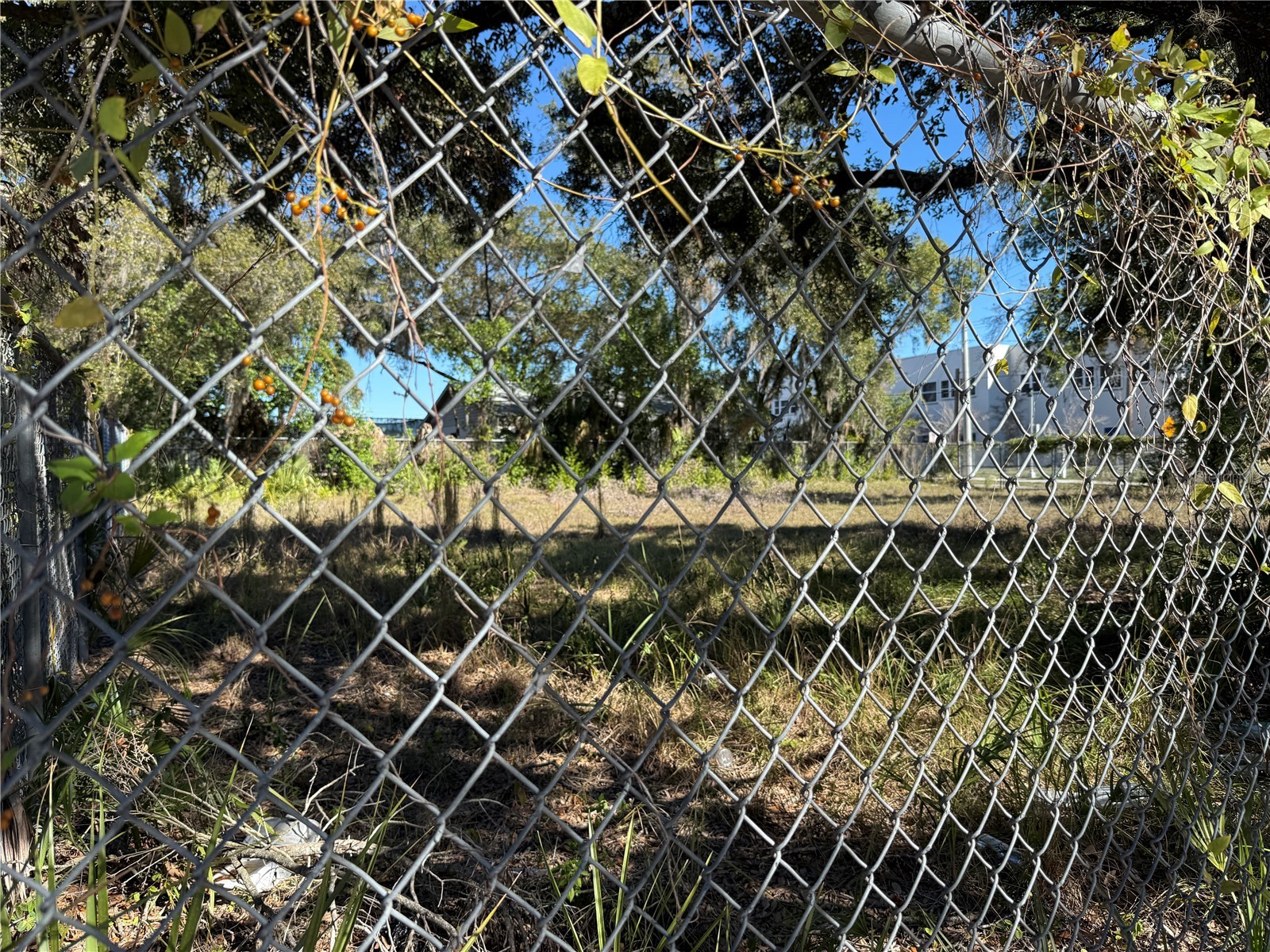 Corner Of E Waters Ave And N 12th Street Tampa FL 33606 TB8465821 image7