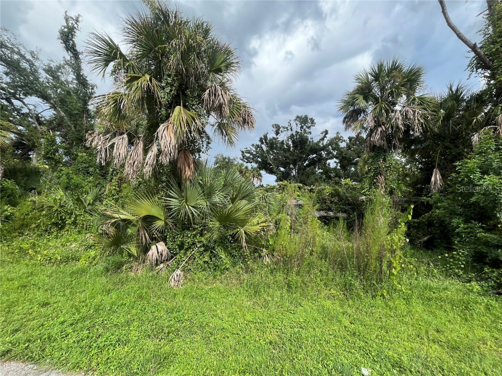 Cornsilk Terrace North Port FL 34286 OK224443 image1