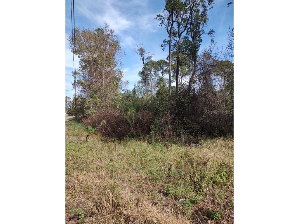 Coronado Road Leesburg FL 34788 G5065577 image1