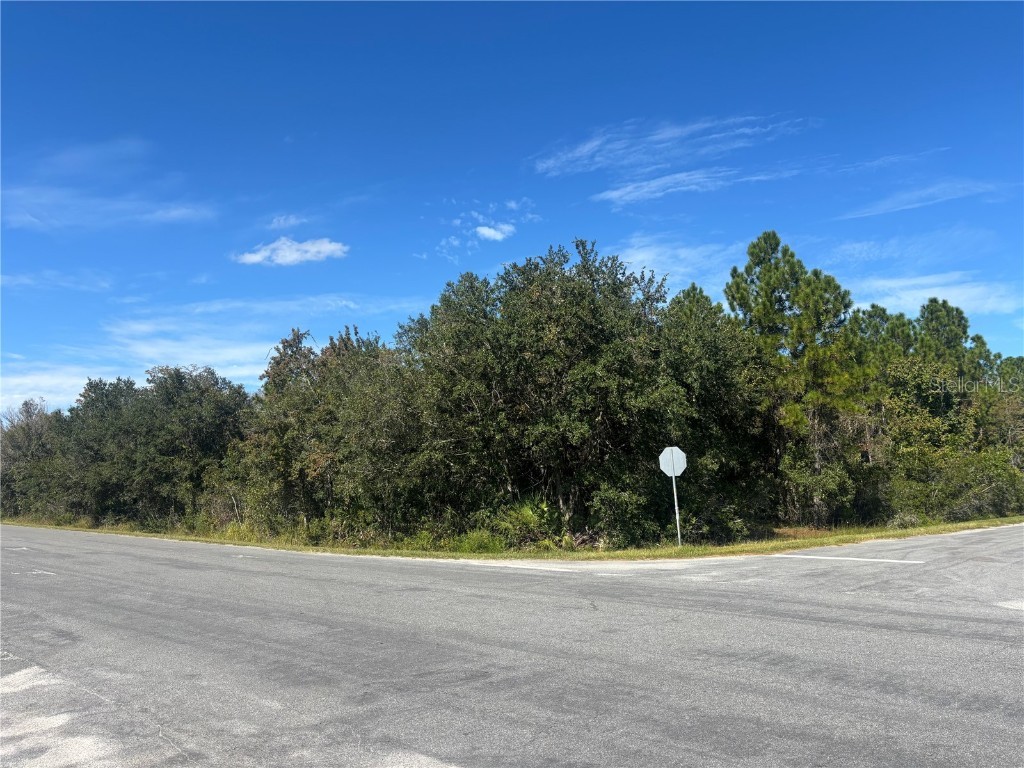 Coronet Avenue Orlando FL 32833 O6360639 image2