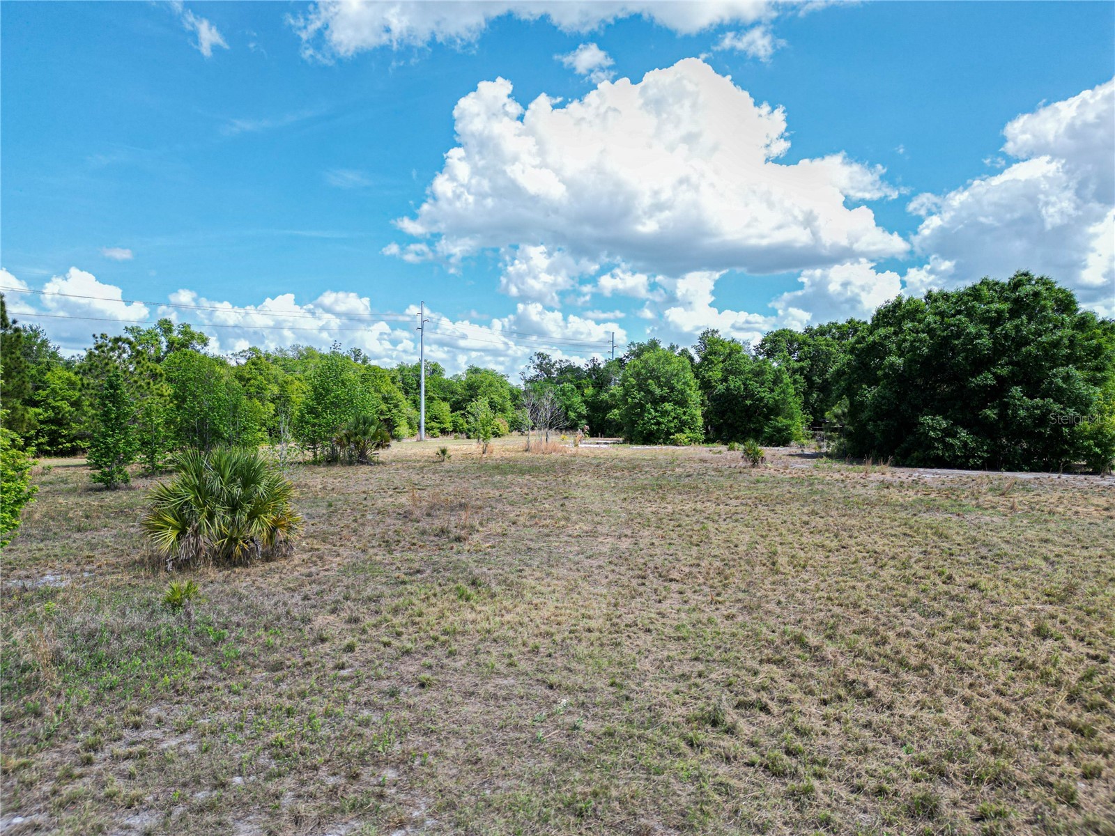 Coronet Road Mulberry FL 33860 L4960870 image13