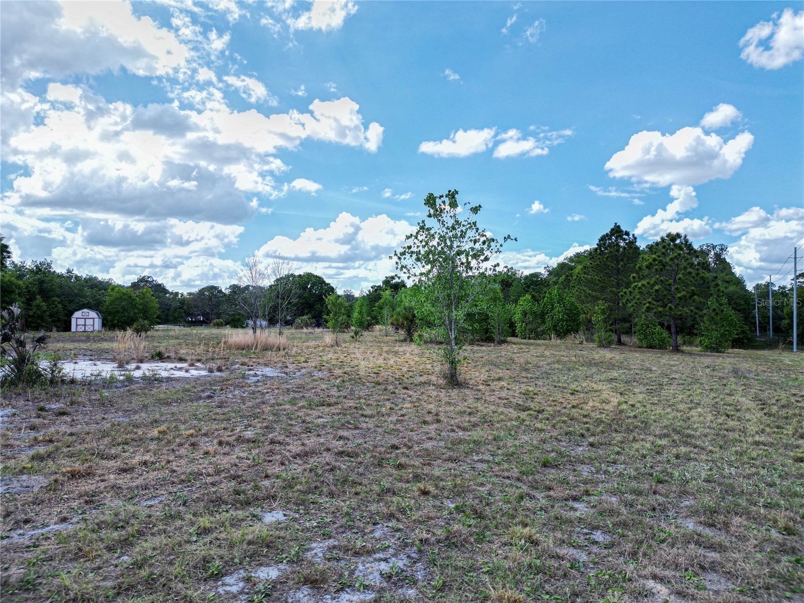 Coronet Road Mulberry FL 33860 L4960870 image5