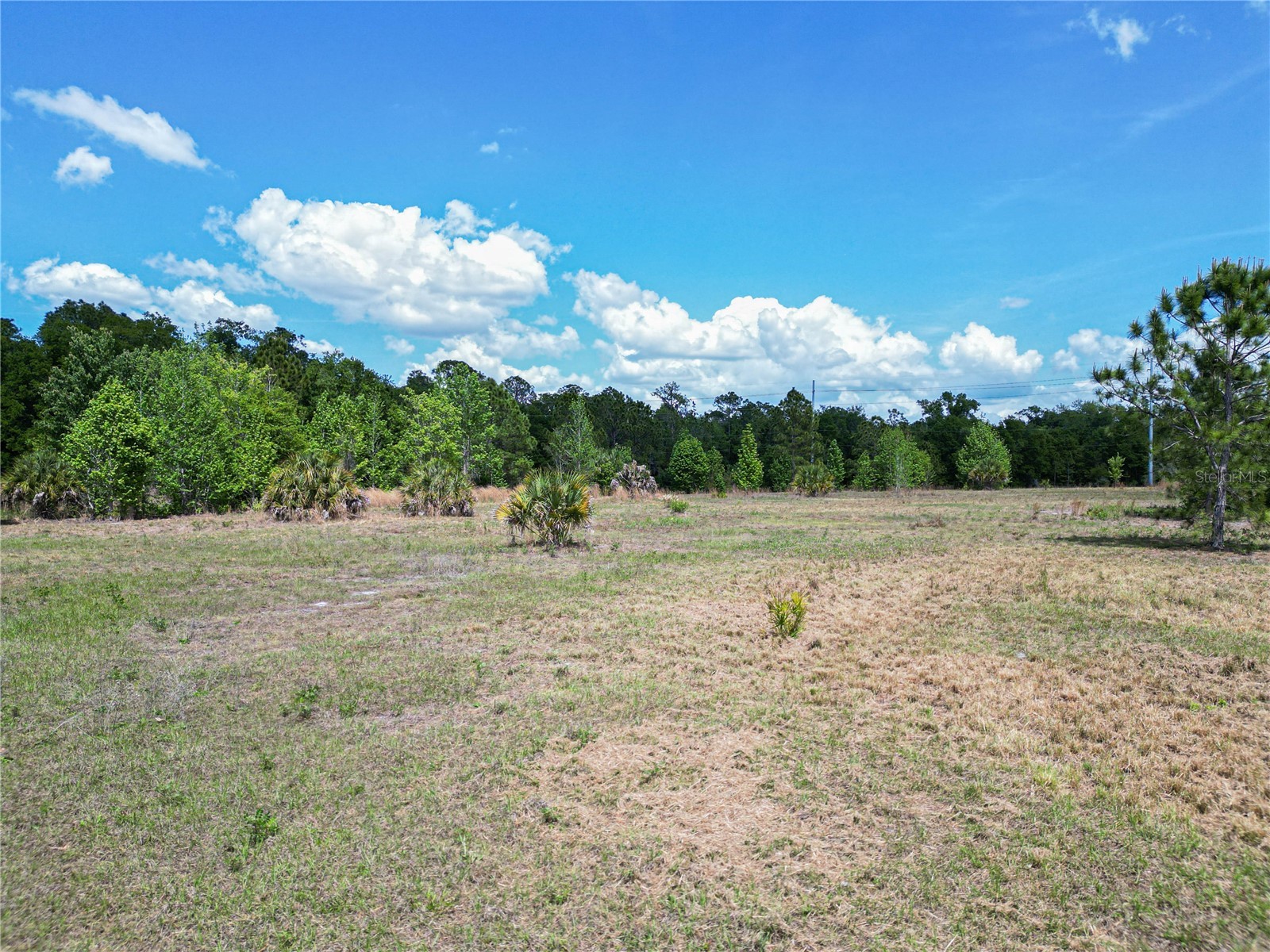 Coronet Road Mulberry FL 33860 L4960870 image6
