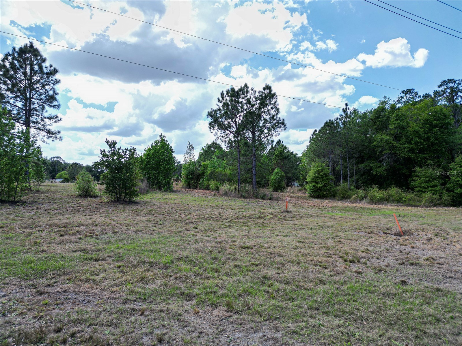 Coronet Road Mulberry FL 33860 L4960870 image7