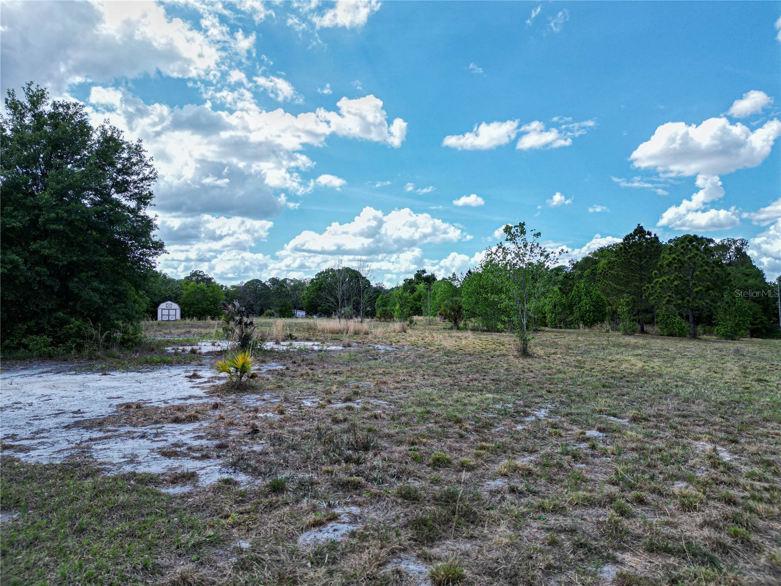 Coronet Road Mulberry FL 33860 L4960870 image8