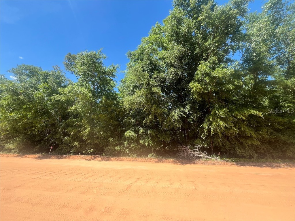 Corral Drive Alford FL 32420 OK224072 image1