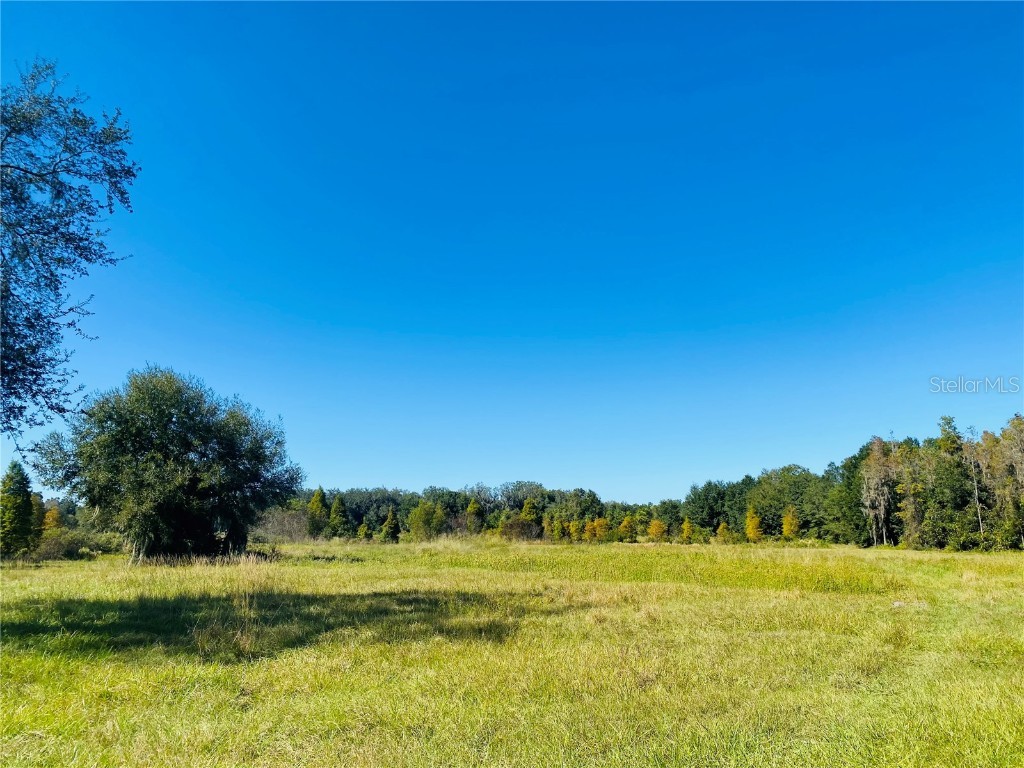 Correia Drive Zephyrhills FL 33542 T3339610 image1