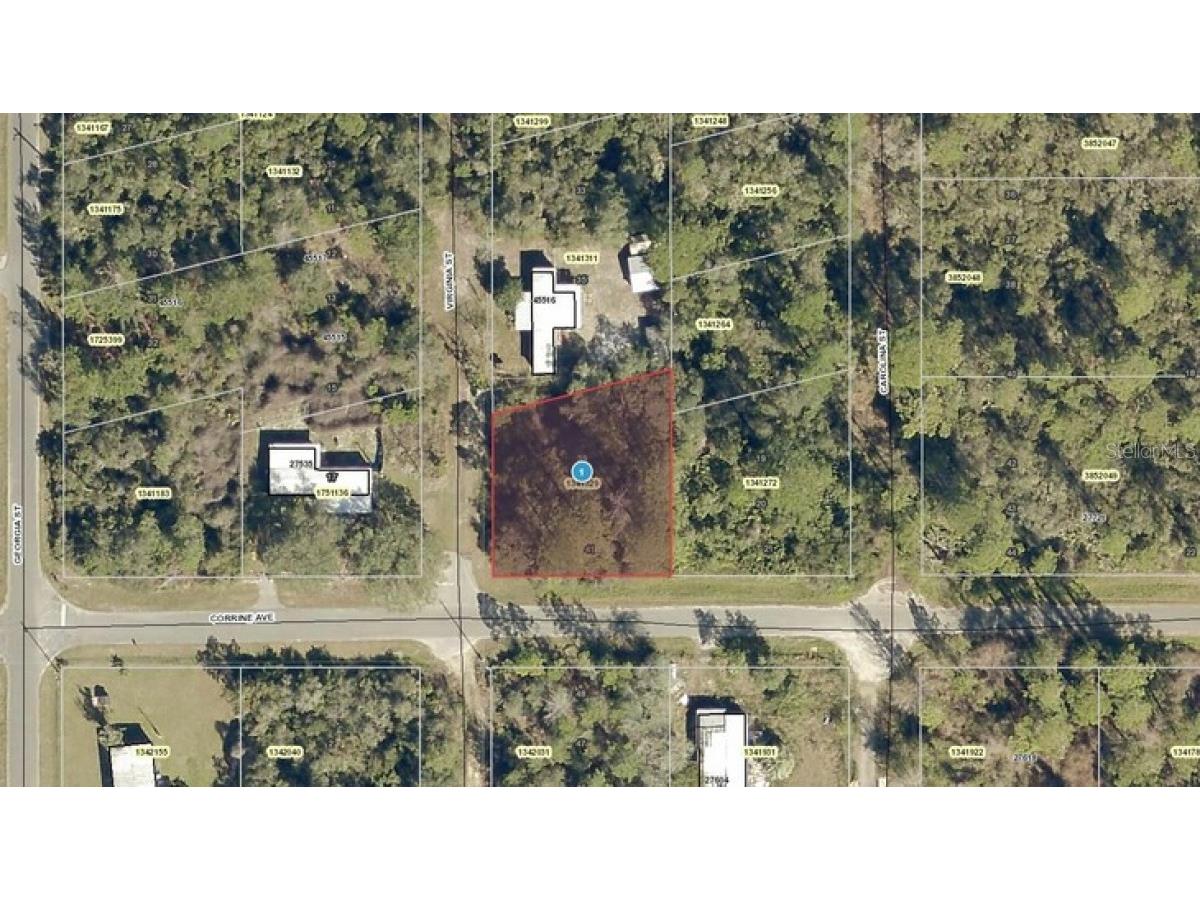 Corrine Avenue Paisley FL 32767 A4509025 image1