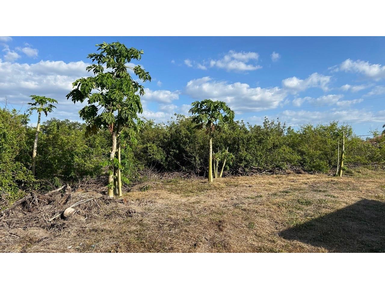 Cortez Lane North Port FL 34287 N6138645 image2