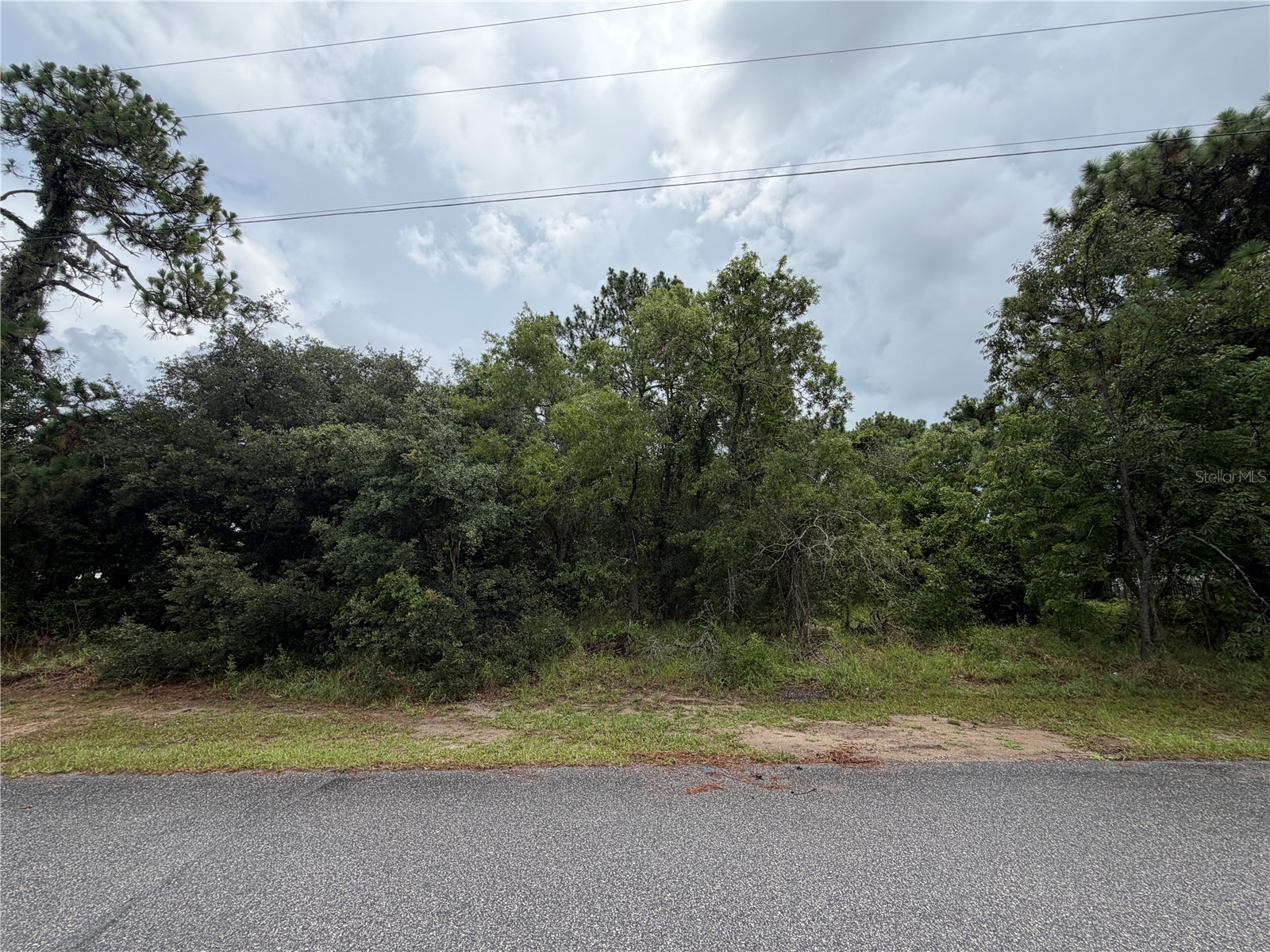 Corydon Avenue Spring Hill FL 34609 W7887393 image2