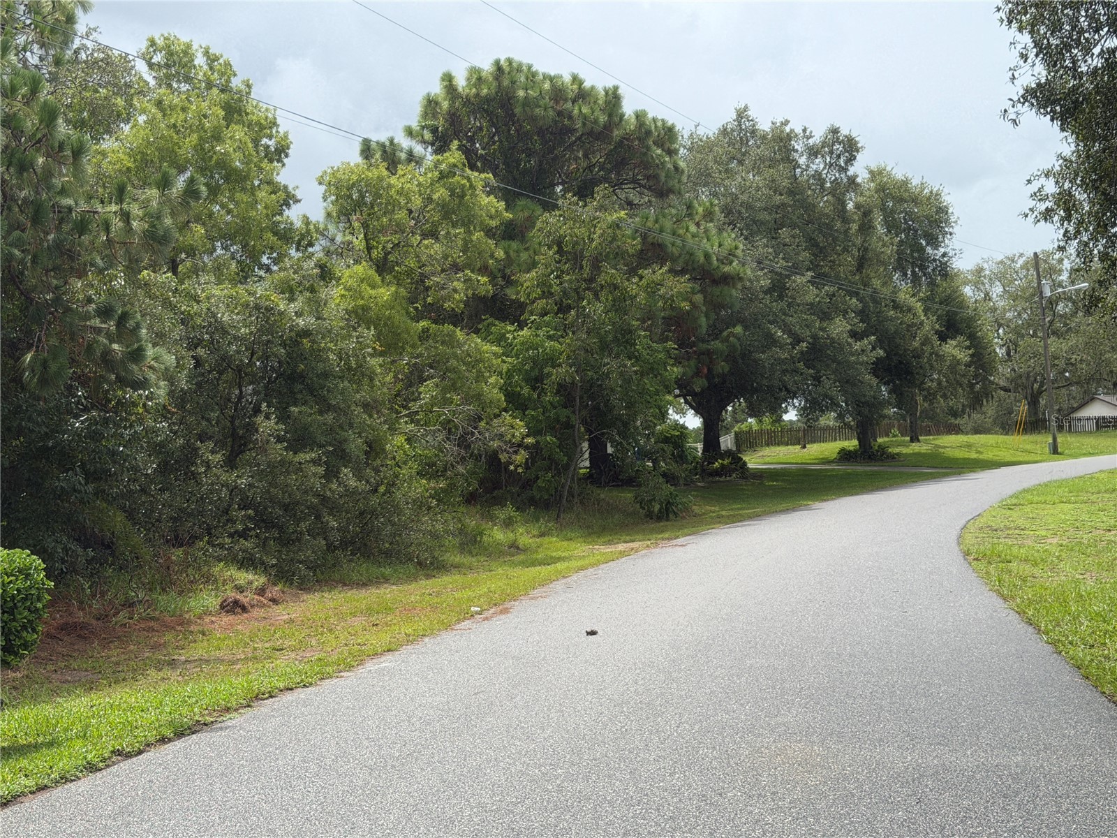 Corydon Avenue Spring Hill FL 34609 W7887393 image4