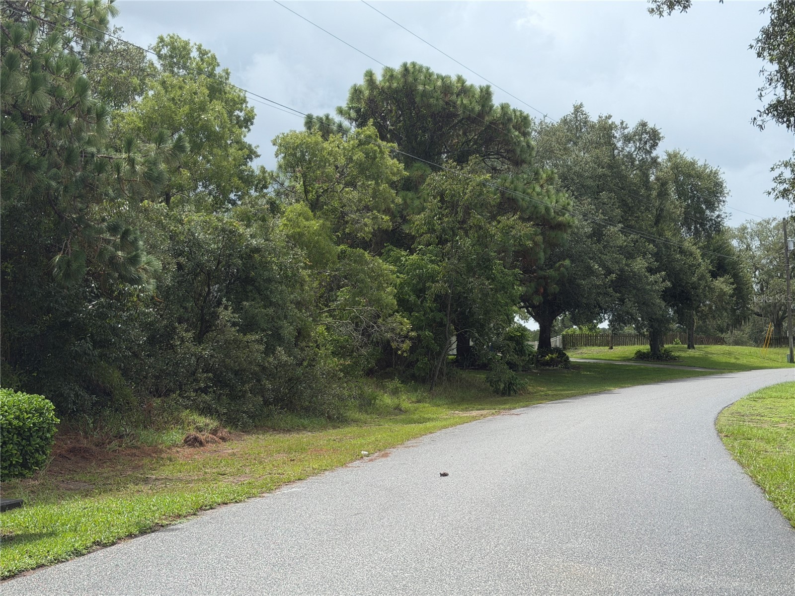 Corydon Avenue Spring Hill FL 34609 W7887393 image5