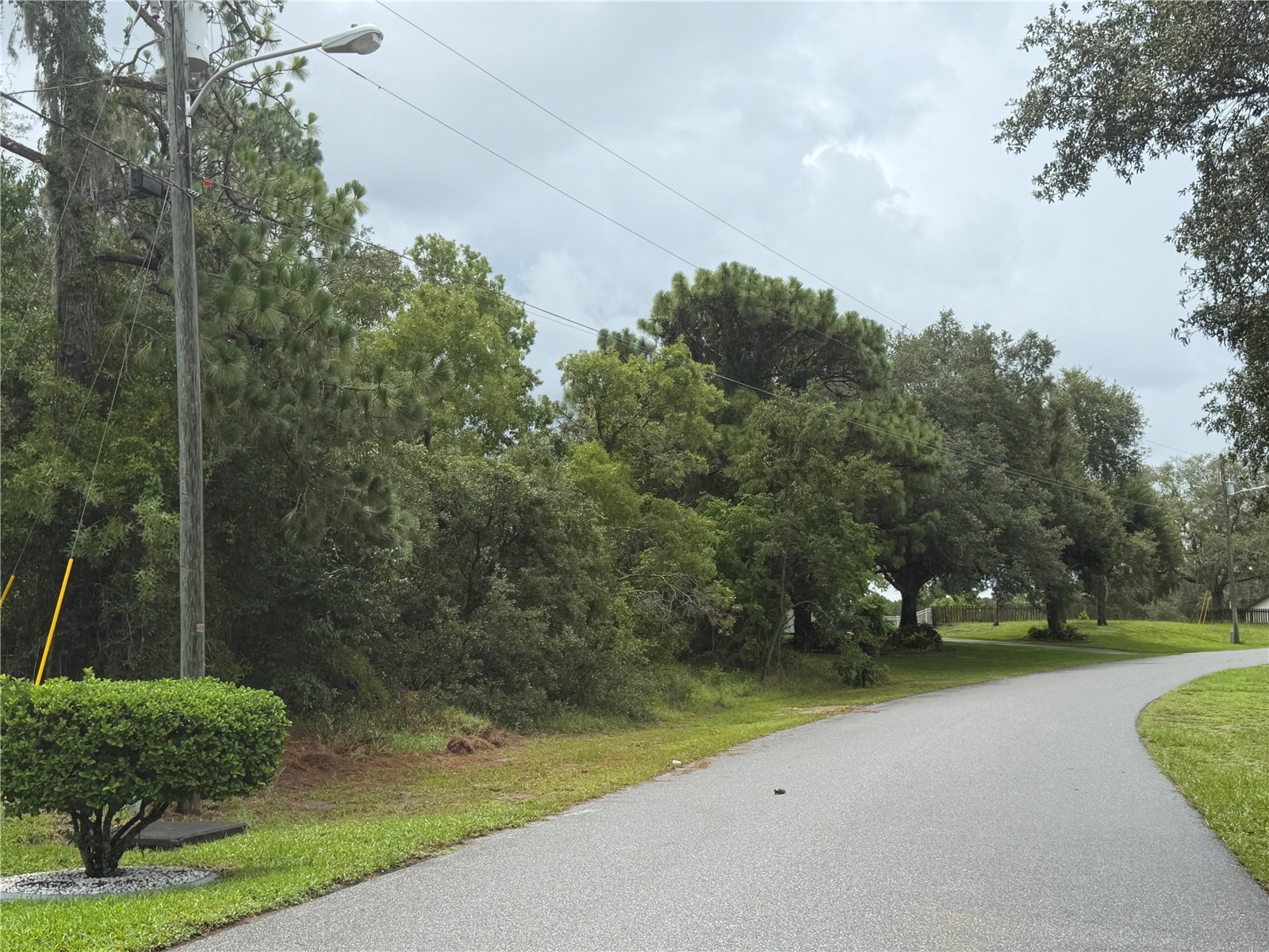 Corydon Avenue Spring Hill FL 34609 W7887393 image6