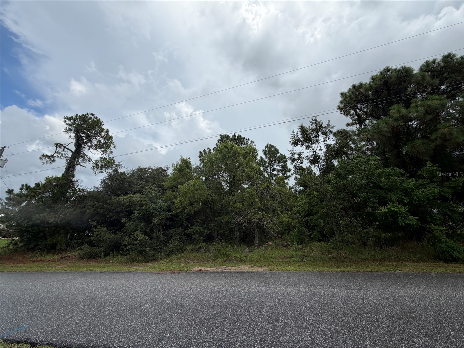 Corydon Avenue Spring Hill FL 34609 W7887393 image7