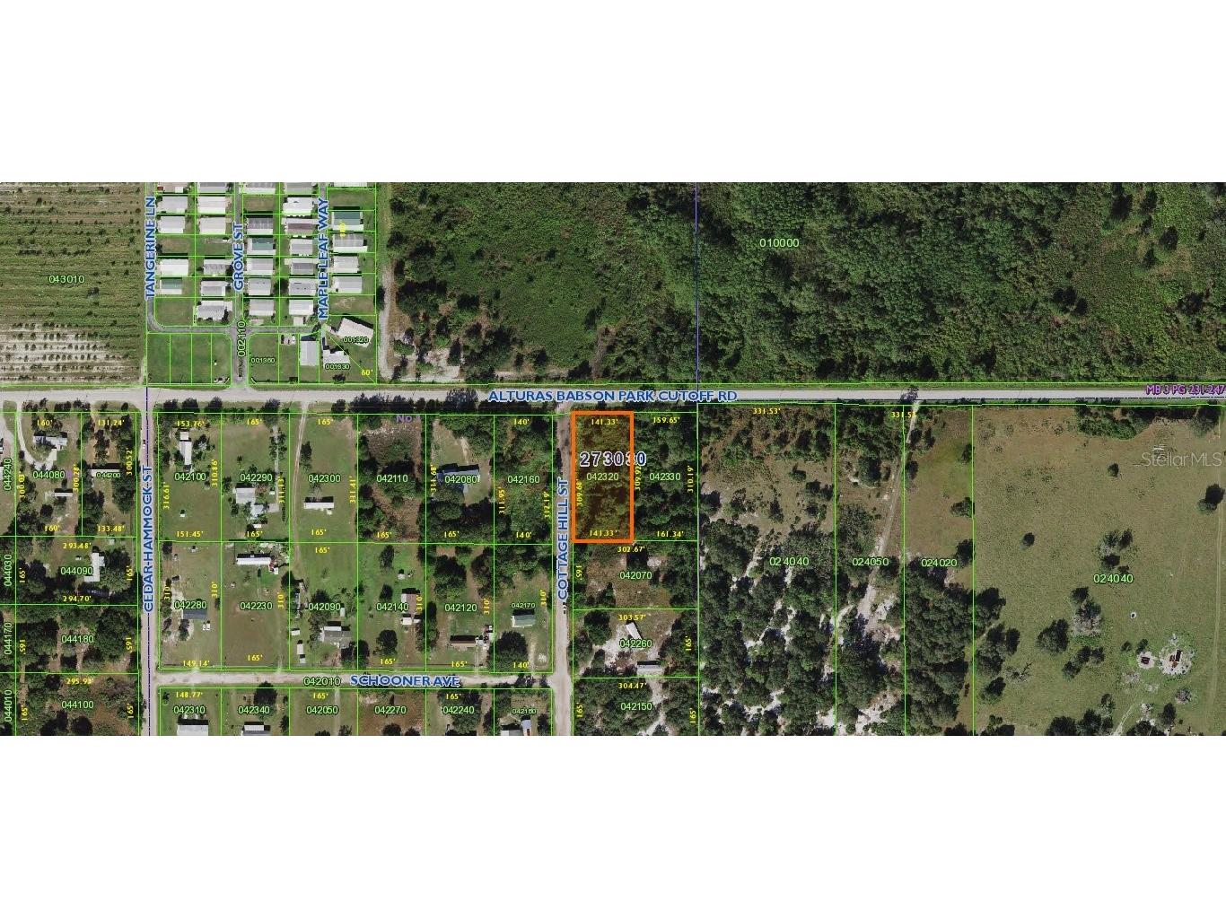 Cottage Hill Street Lake Wales FL 33859 - LAKE LIZZY K4901699 image1