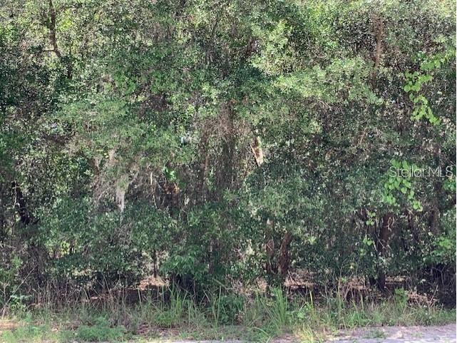 Cottage Hill Street Lake Wales FL 33859 P4929961 image1