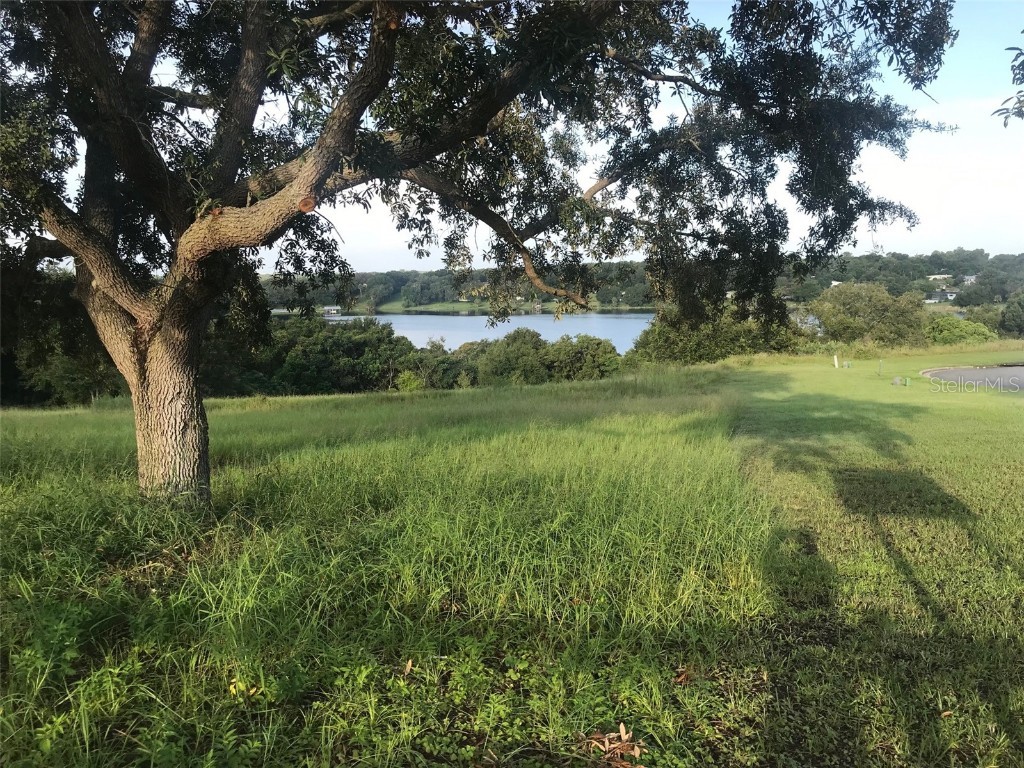 Country Club Drive Eustis FL 32726 - LAKE NETTIE O6192080 image1