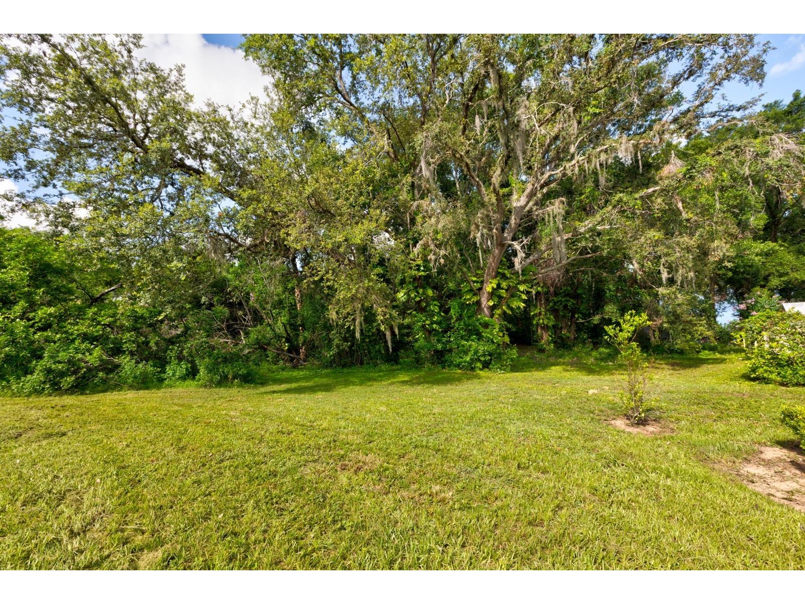Country Club Road Eustis FL 32726 G5110726 image1