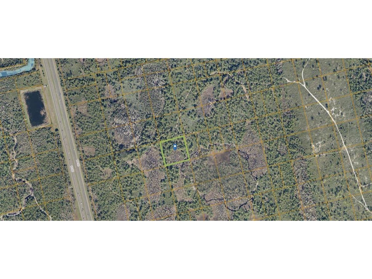 County Line Ditch Rd Oak Hill FL 32759 O6230398 image1