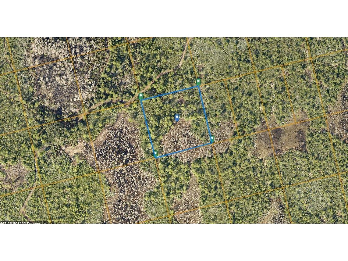 County Line Ditch Rd Oak Hill FL 32759 O6230398 image2