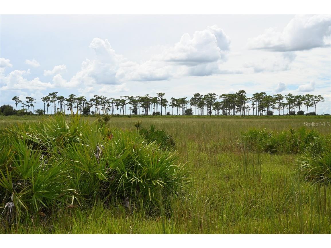 County Line Road E Fort Meade FL 33841 OM713132 image1