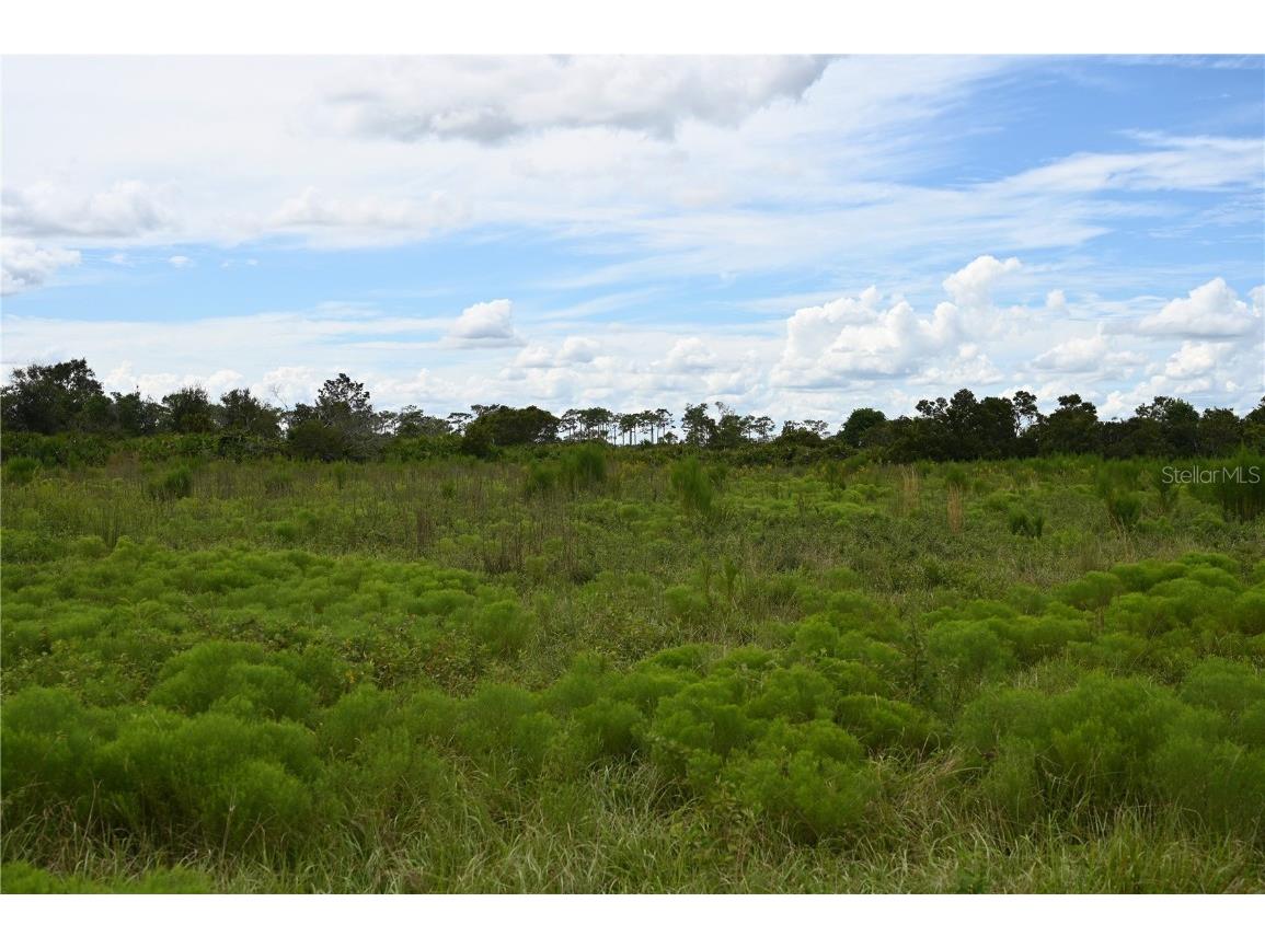 County Line Road E Fort Meade FL 33841 OM713132 image10