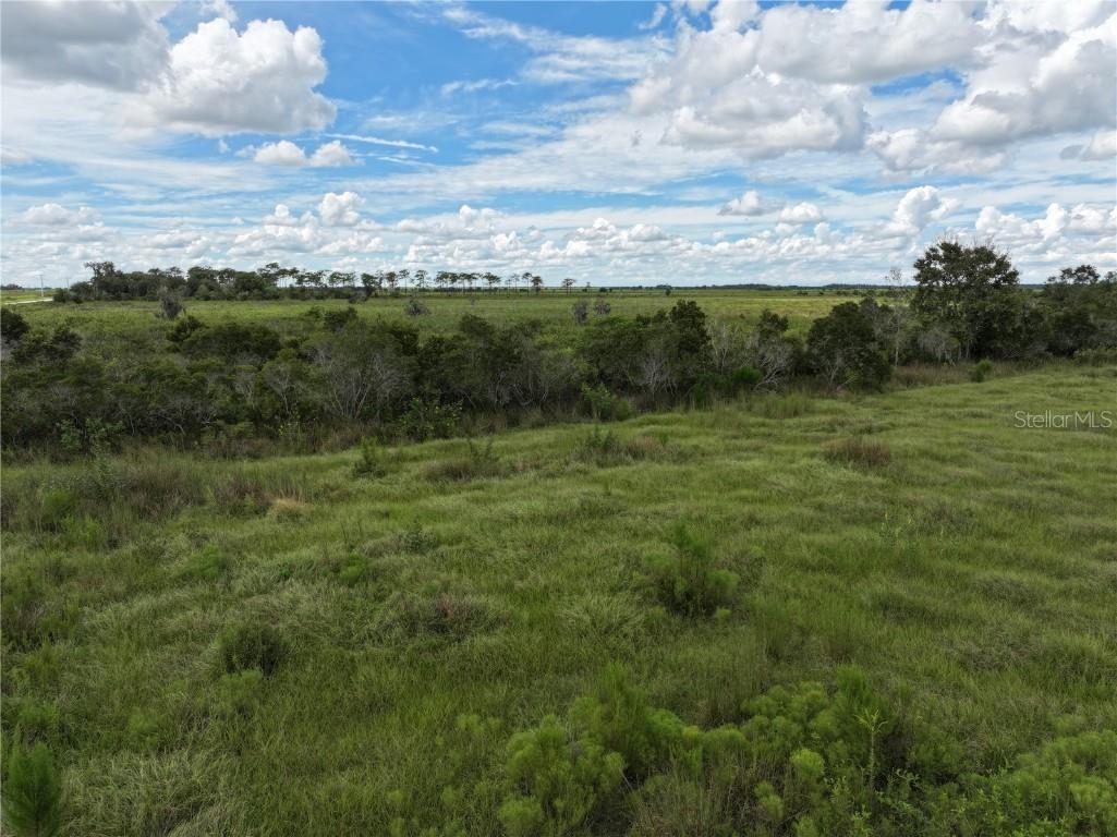 County Line Road E Fort Meade FL 33841 OM713132 image11