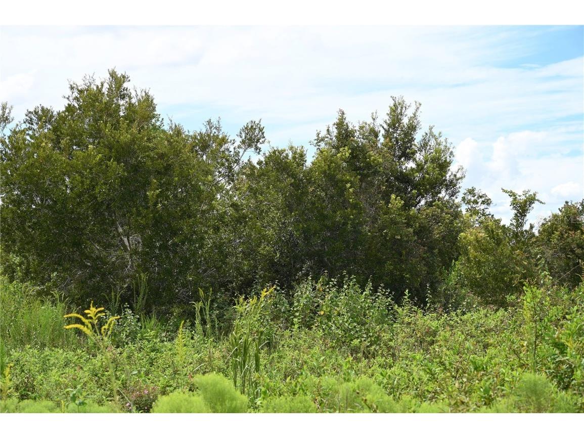 County Line Road E Fort Meade FL 33841 OM713132 image12