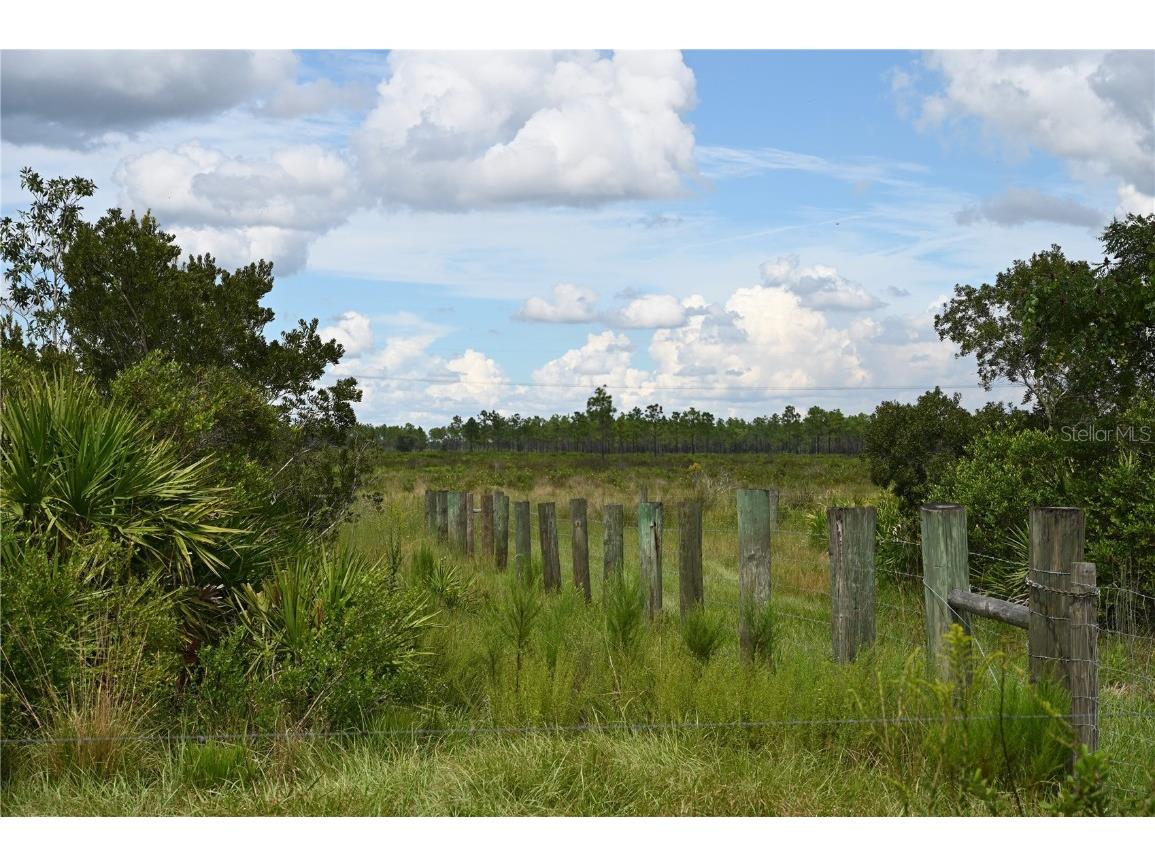 County Line Road E Fort Meade FL 33841 OM713132 image13