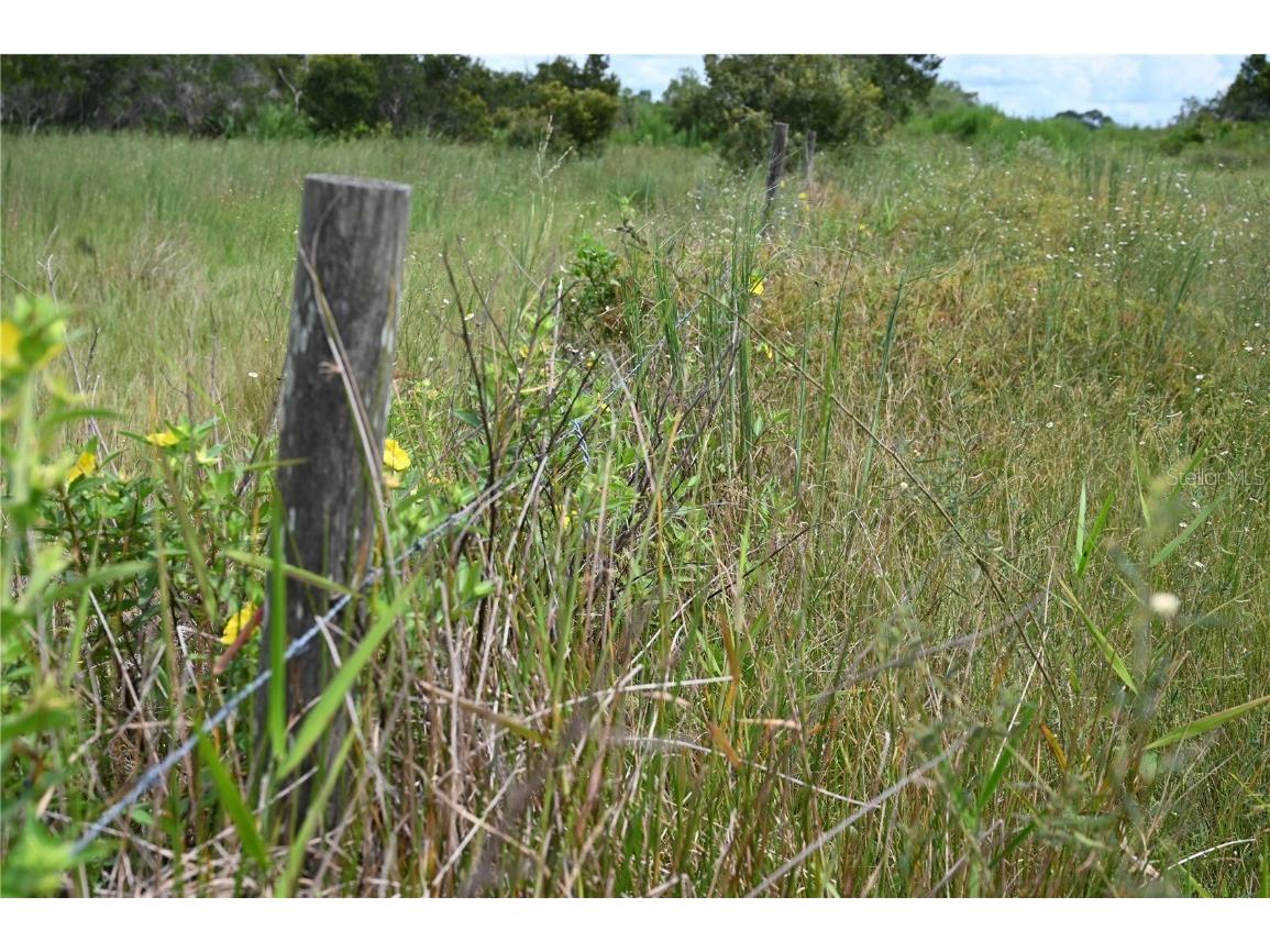 County Line Road E Fort Meade FL 33841 OM713132 image14