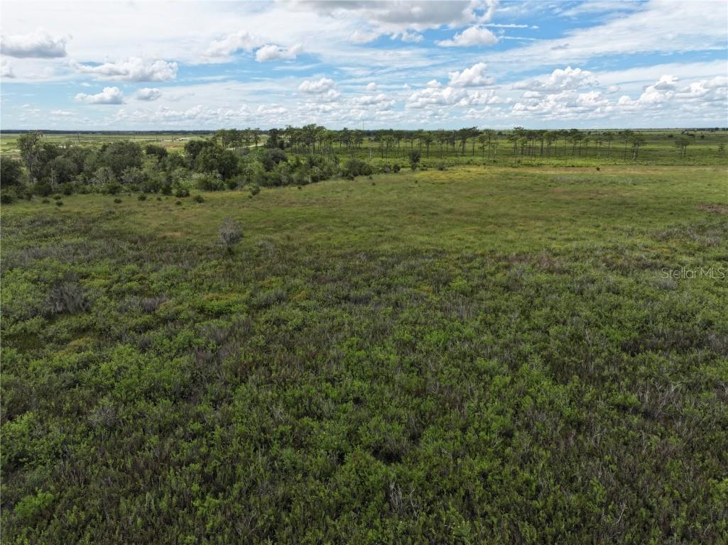 County Line Road E Fort Meade FL 33841 OM713132 image17