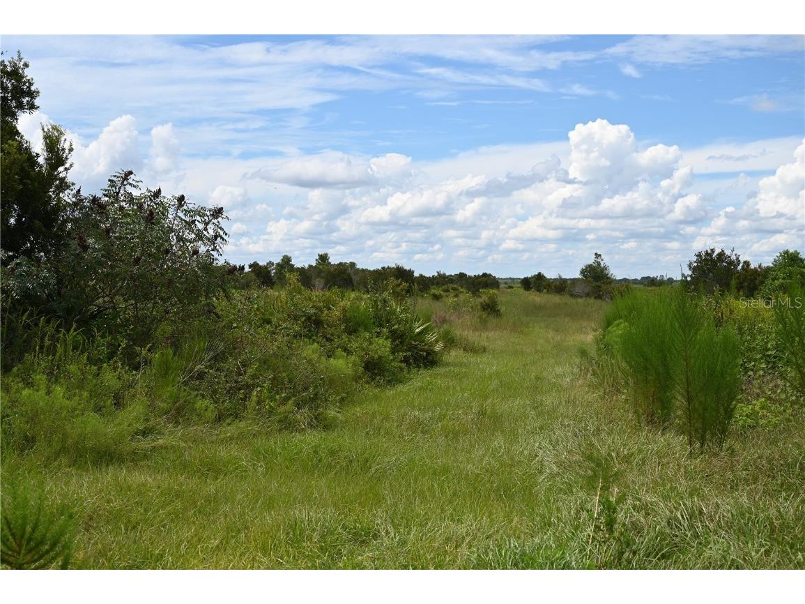 County Line Road E Fort Meade FL 33841 OM713132 image18