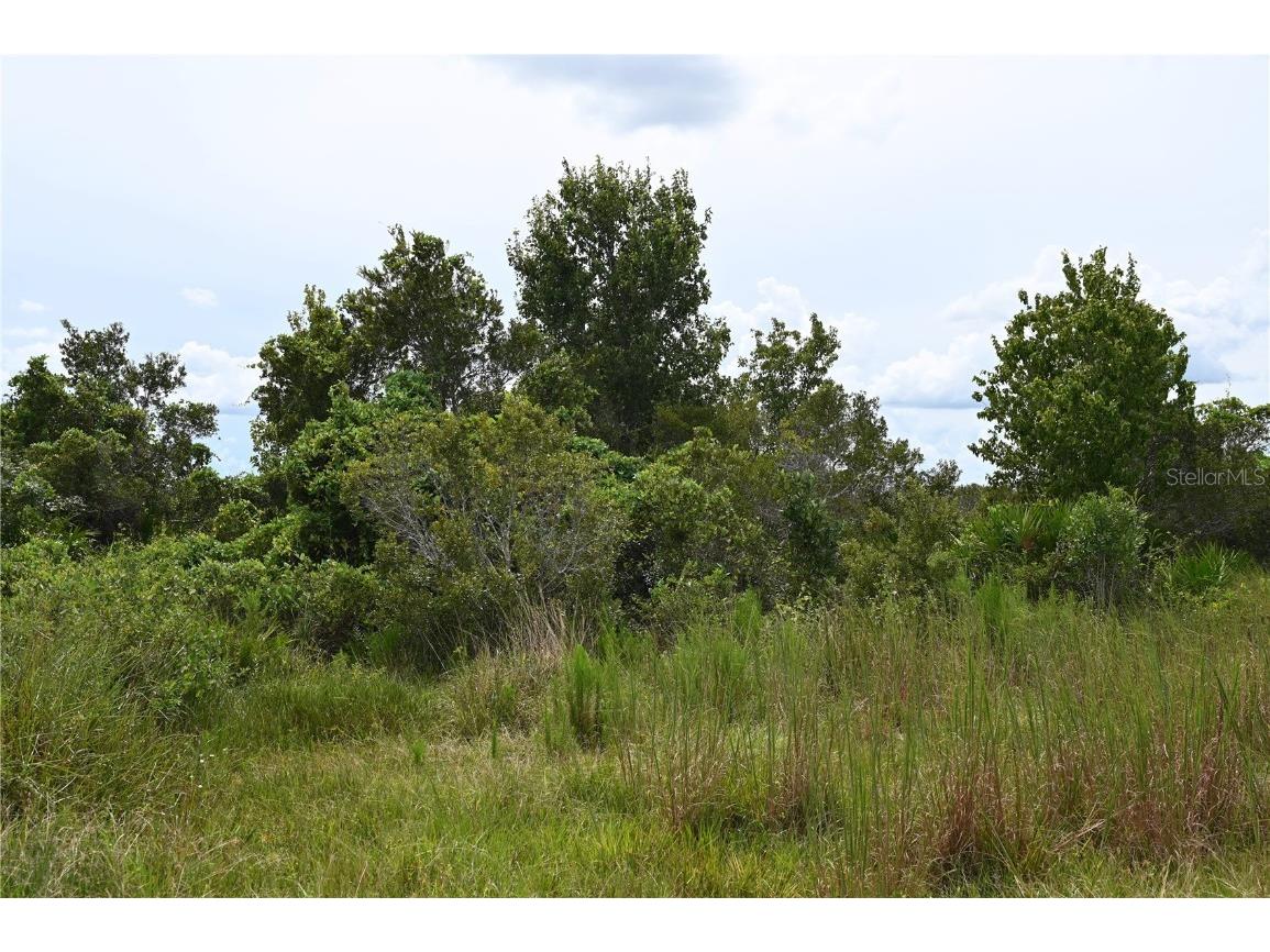 County Line Road E Fort Meade FL 33841 OM713132 image19