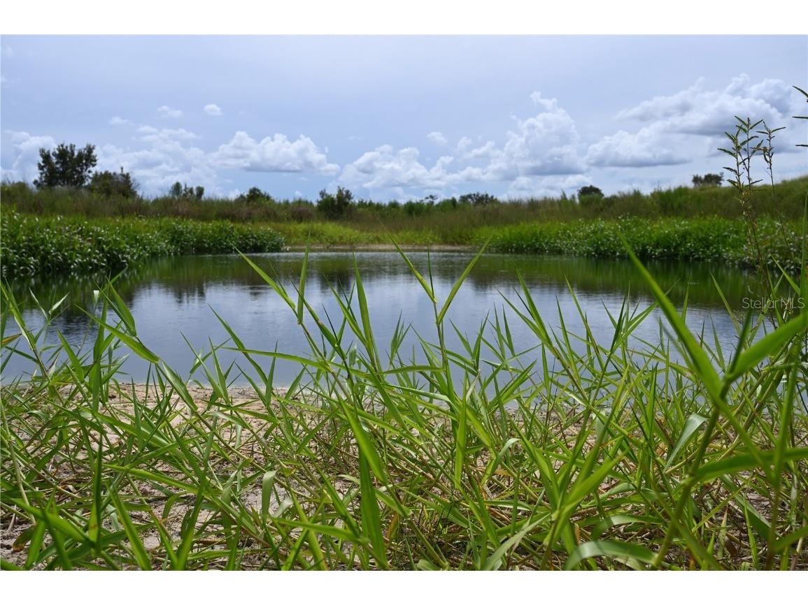 County Line Road E Fort Meade FL 33841 OM713132 image2