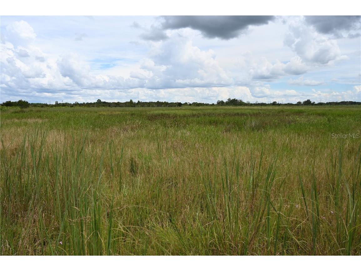 County Line Road E Fort Meade FL 33841 OM713132 image20