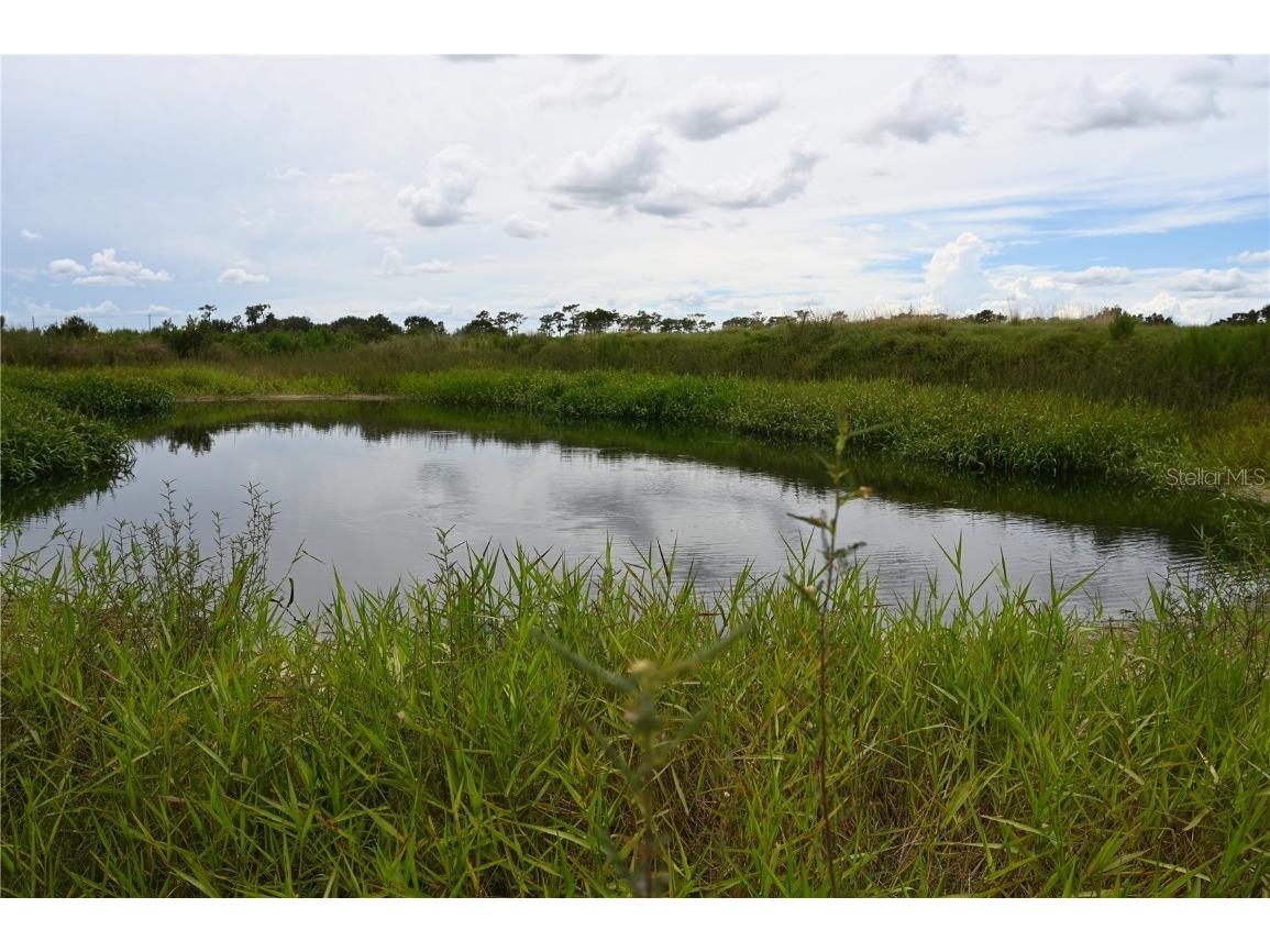 County Line Road E Fort Meade FL 33841 OM713132 image21