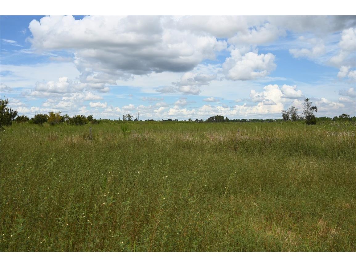 County Line Road E Fort Meade FL 33841 OM713132 image22