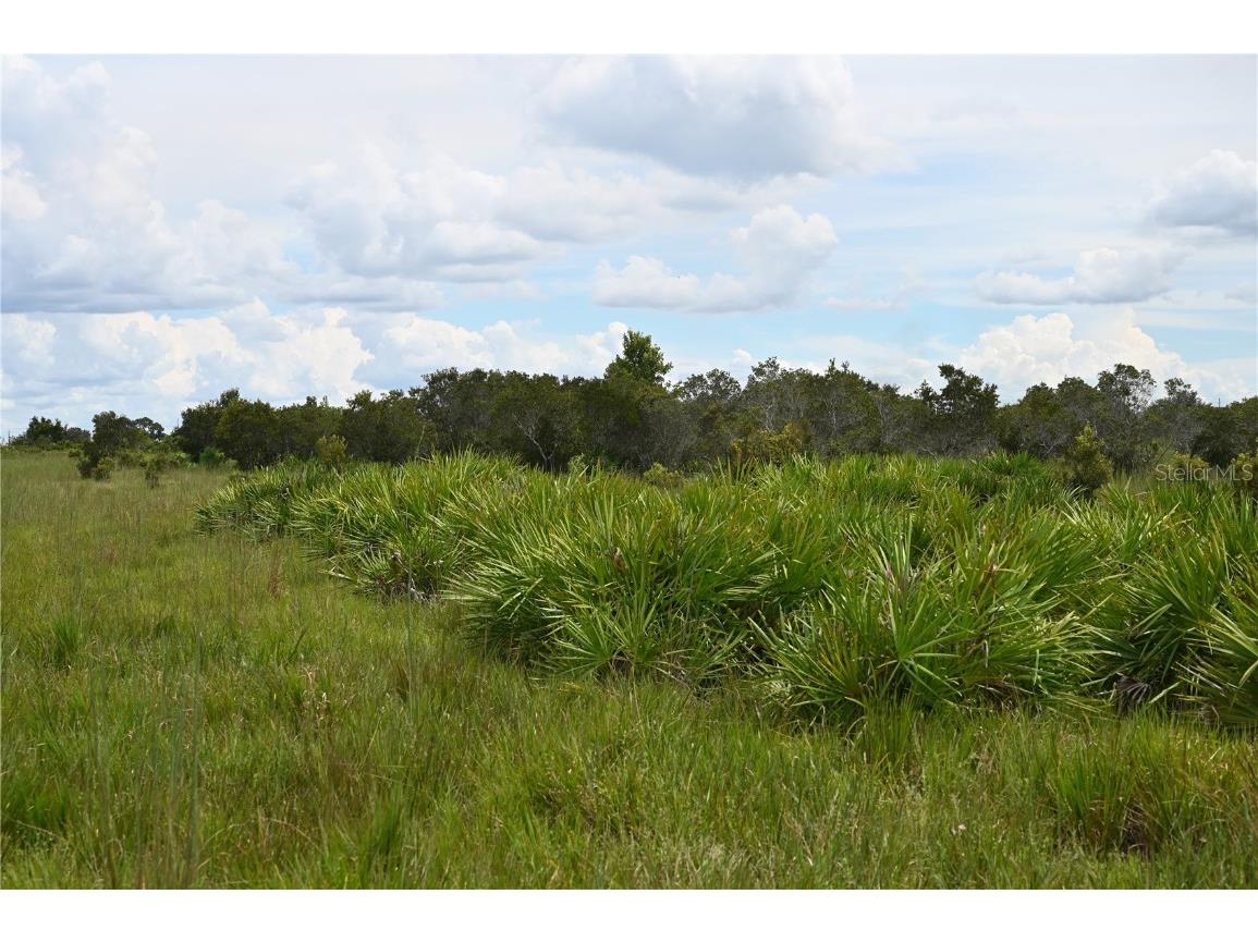 County Line Road E Fort Meade FL 33841 OM713132 image23