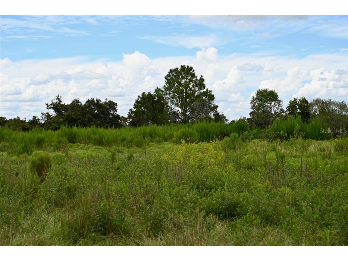 County Line Road E Fort Meade FL 33841 OM713132 image24