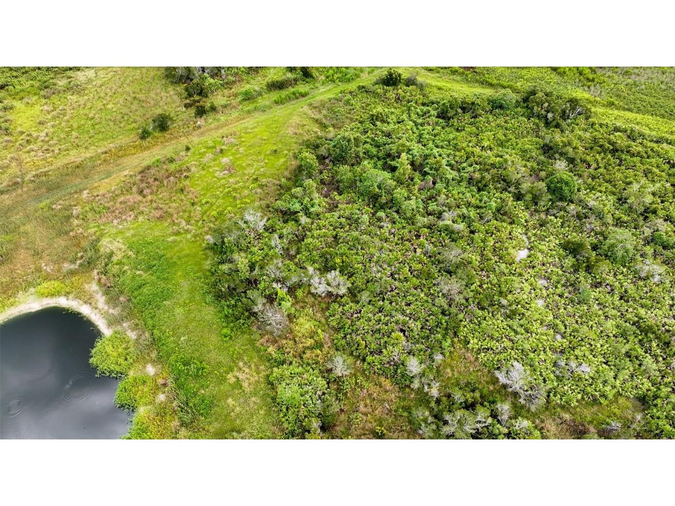 County Line Road E Fort Meade FL 33841 OM713132 image25