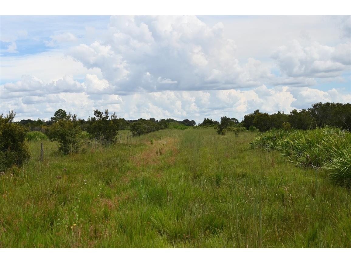 County Line Road E Fort Meade FL 33841 OM713132 image26
