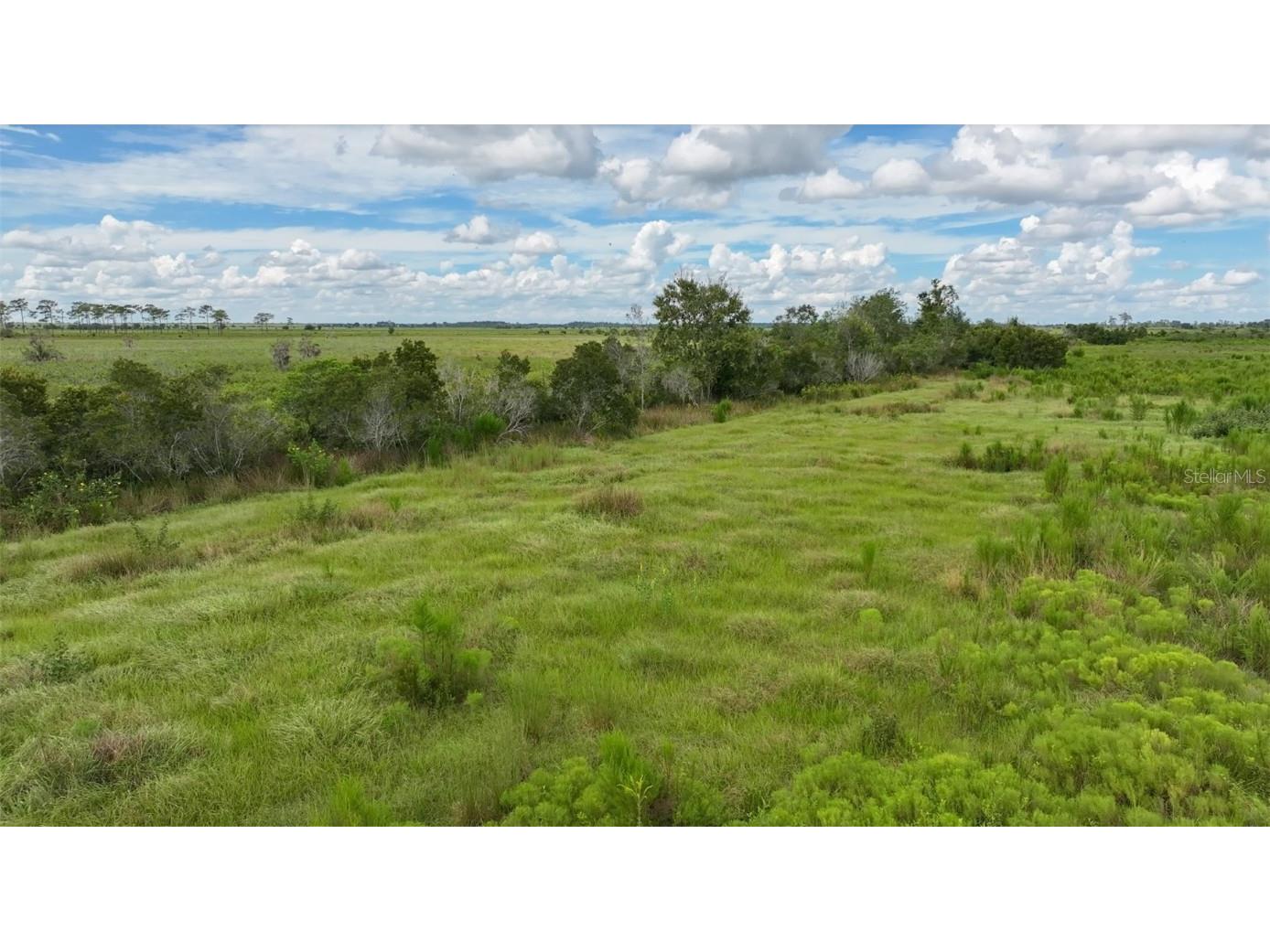 County Line Road E Fort Meade FL 33841 OM713132 image27