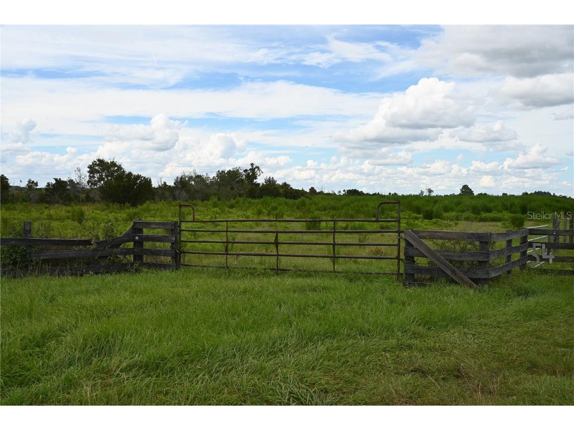 County Line Road E Fort Meade FL 33841 OM713132 image28