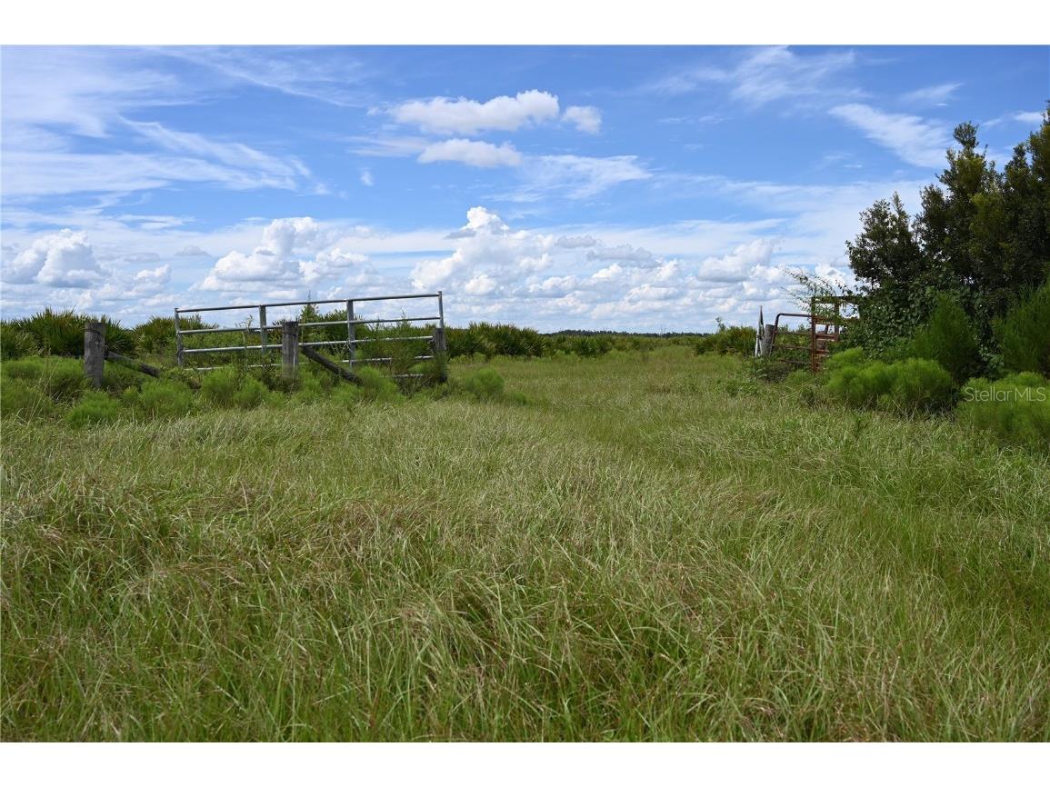 County Line Road E Fort Meade FL 33841 OM713132 image3