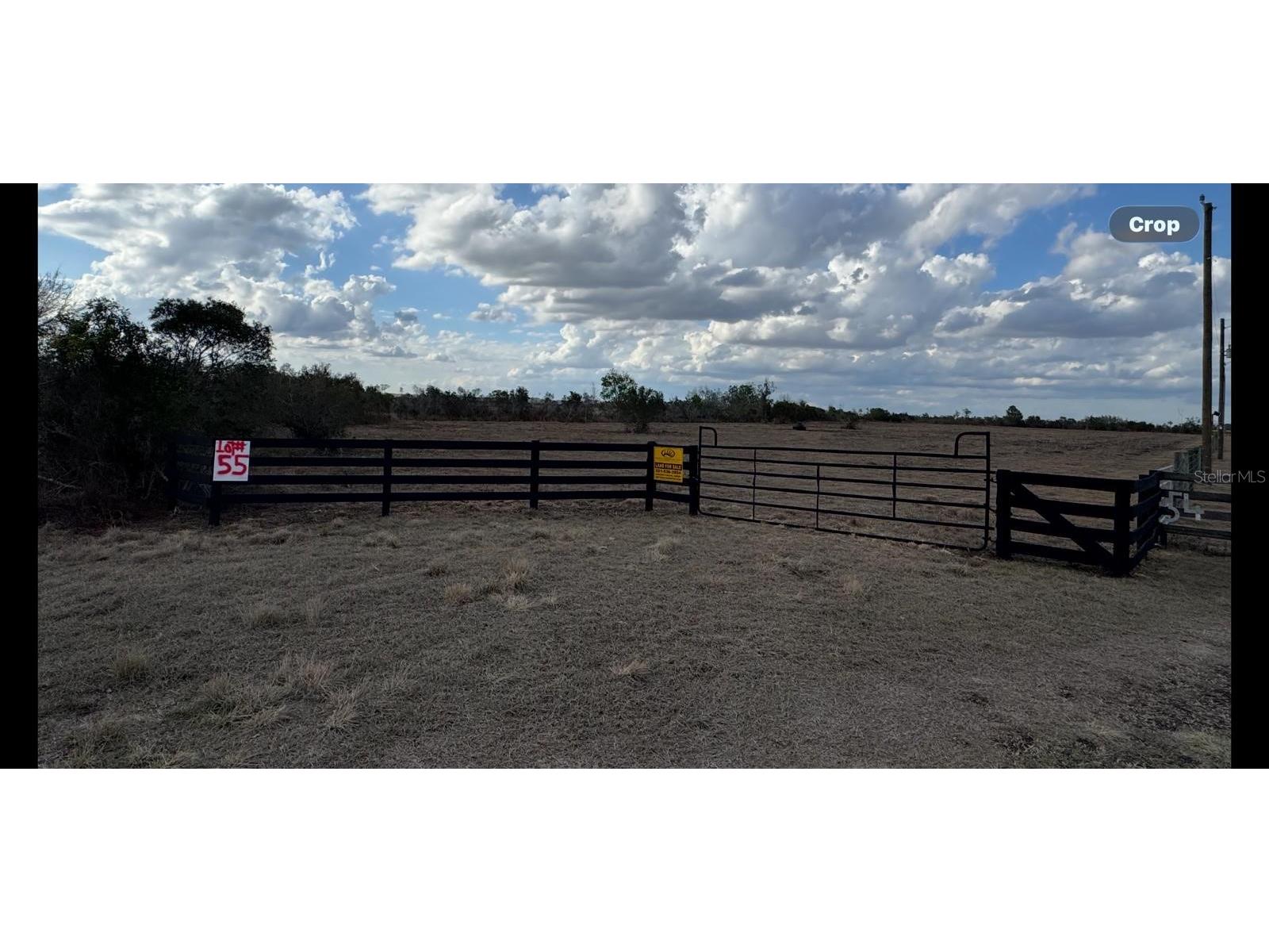 County Line Road E Fort Meade FL 33841 OM713132 image31