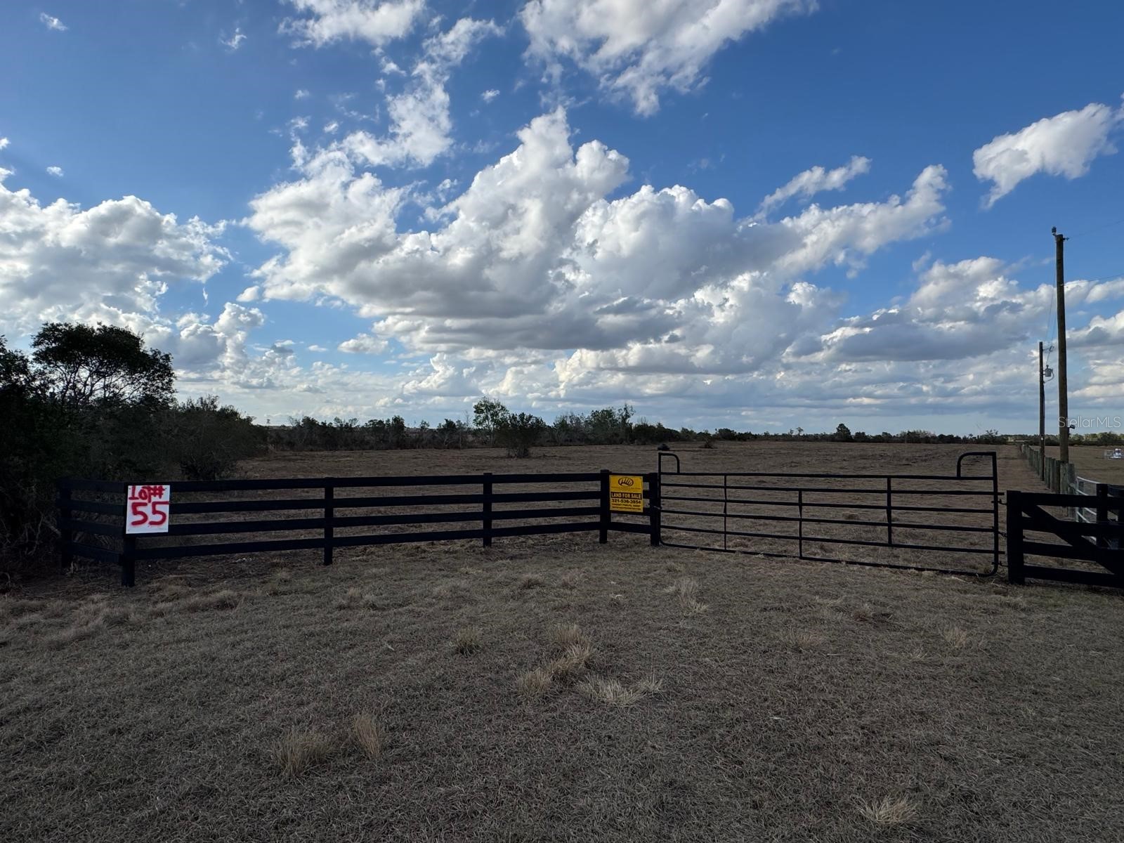 County Line Road E Fort Meade FL 33841 OM713132 image32