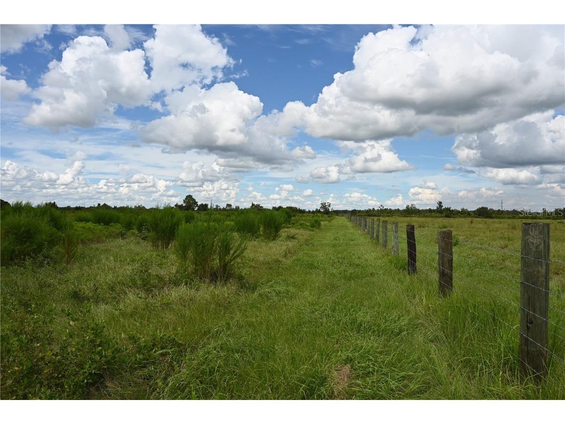 County Line Road E Fort Meade FL 33841 OM713132 image4