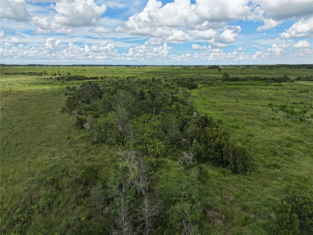 County Line Road E Fort Meade FL 33841 OM713132 image7