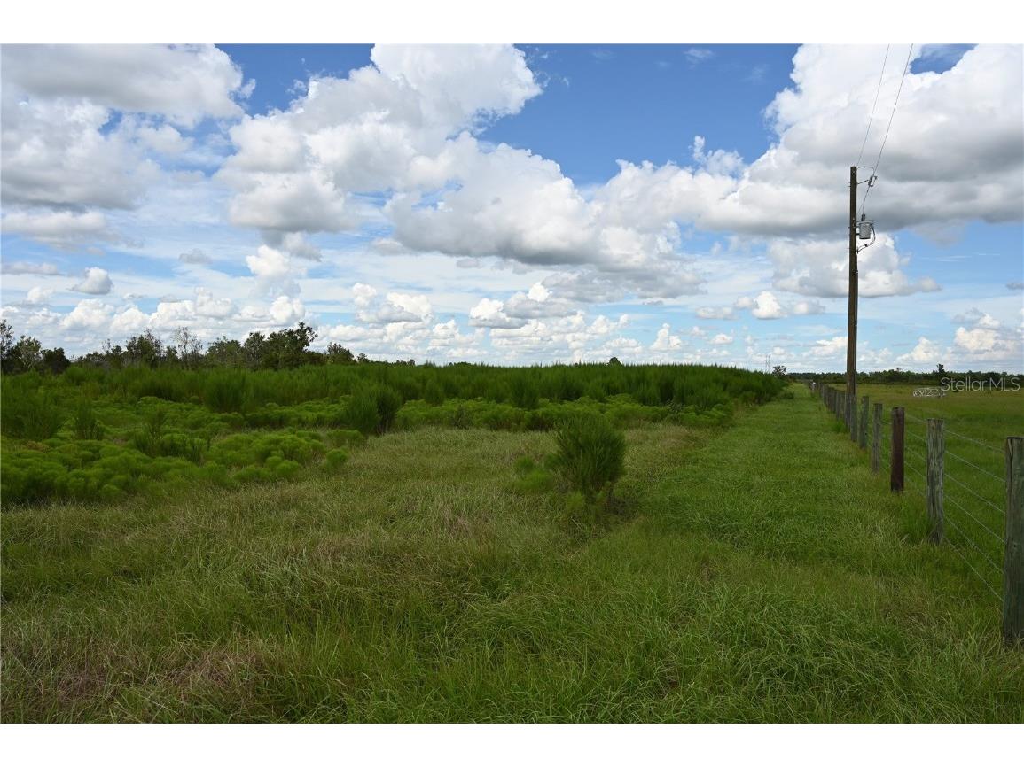 County Line Road E Fort Meade FL 33841 OM713132 image8